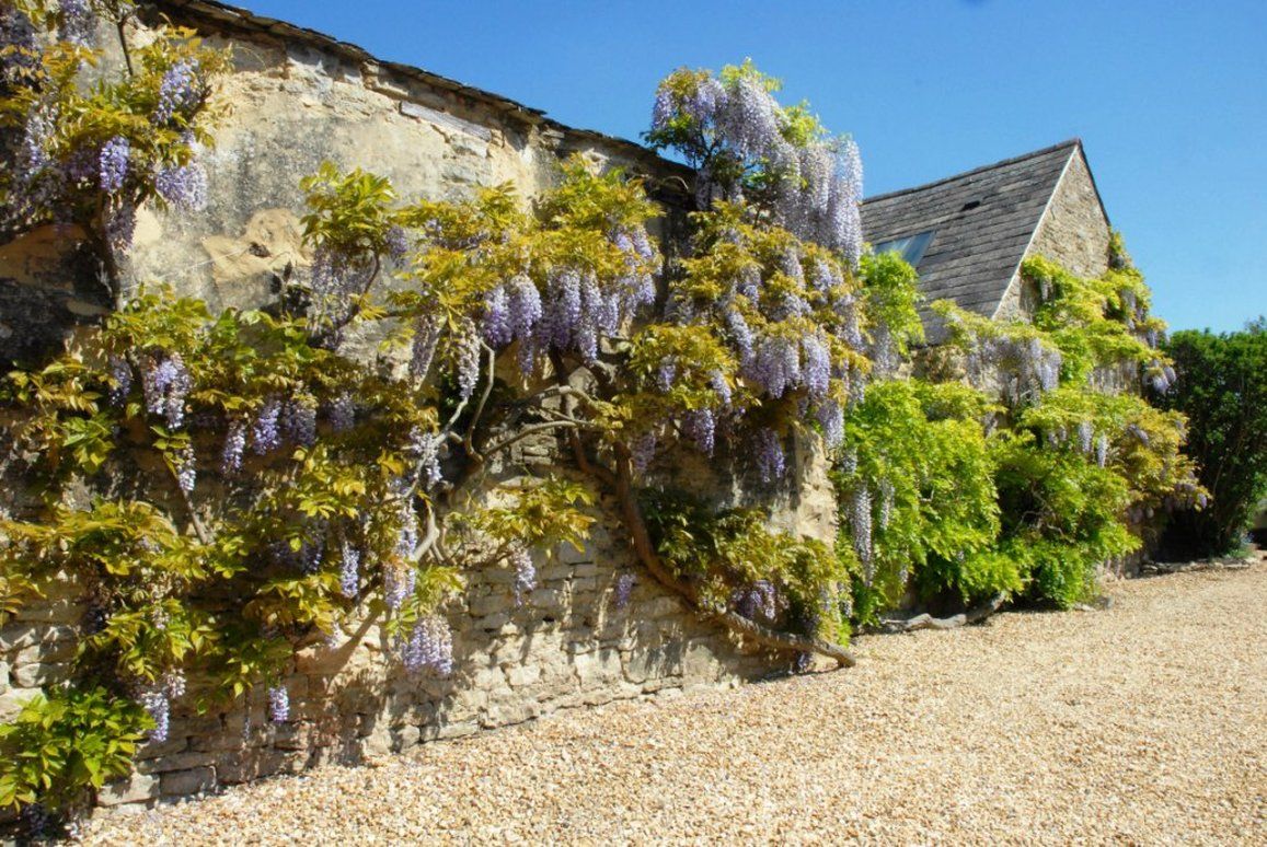 Hotel Marlborough Arms Woodstock Wyposażenia zdjęcie
